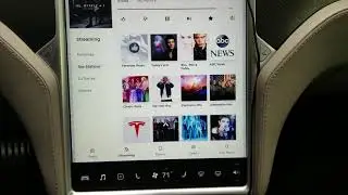 Tesla explicit content filter