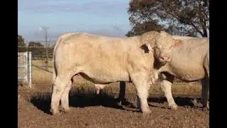 LOT 5 ANC P24F