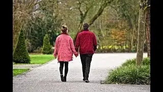 Episode 244 - Various Health Benefits of Vitamin W (Walking)