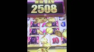 BUFFALO GRAND SLOTS LINE HIT!!!