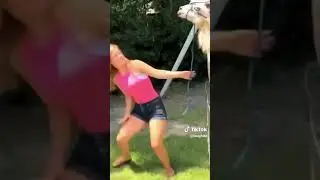 Your daily comedy fix 🤣 People being idiots🤣Try not to laugh 🤣 #funny #shorts #fails #Memes