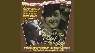 In dich hab' ich mich verliebt