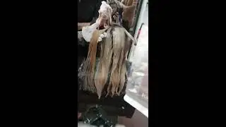 Kỹ thuật tẩy t&oacute;c kh&ocirc;ng hại t&oacute;c - [Nhất Linh]