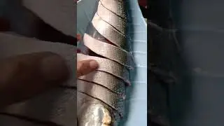 slice & cook #milkfish #simple #satisfying #shorts