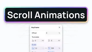 Scroll Animations 101