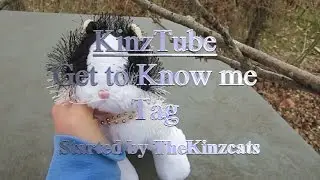 KinzTube: Get to Know me Tag
