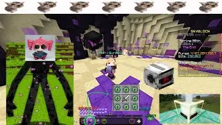 Enderman slayer on Fakepixel Skyblock LIVE | biji