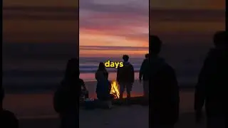 The Summer That Went Wrong