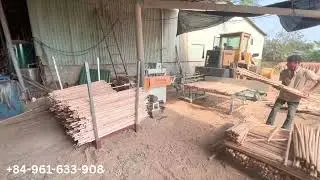 Collecting natural wooden stick for production of wooden broom handle