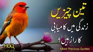 Urdu Quotes About Life | Allah Ki Batain | Quotes About Allah In Urdu Thoughts | Mindset Urdu Quotes