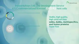 Bioworkshops Cell Line Development Service 1.2