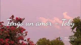Tengo un amor - Toby Love ( Karaoke español )