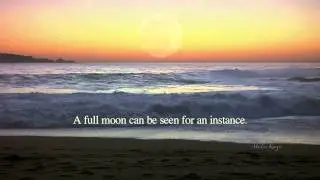 Full Moon at the Beach