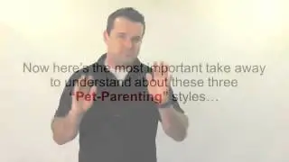 The 4 Pet Parenting Styles