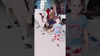 MashaAllah ❤️ Qurbani 🐄Cow #shortvideo #qurbanistatus #karachicow  #2023 #karachi @rehbernewpoint