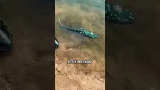 You Won't Believe Why He Threw These Giant Fish Back#shorts
