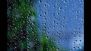 Heavy Rain Sounds for Sleeping | No Thunder | 1 Hour