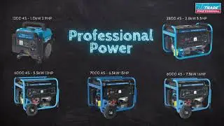 Important Generator Maintenance Trade Professional