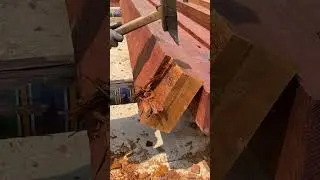 Golden nanmu processing process