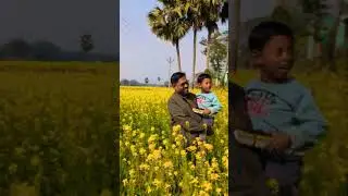 Most beautiful mustard farm.
