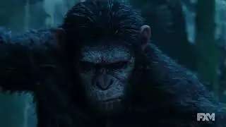 what i've done~The planet of apes~music video