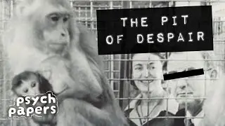 The Pit of Despair / Depression in Monkeys (Harlow’s Monkey Study Pt 2) - Psych Papers