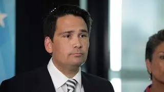 Simon Bridges on National Party leak