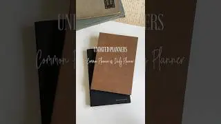 Undated Common Planner vs. Daily Planner | Which One Is Right for You? 🗓️