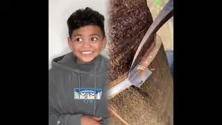 🤣👌👌👌2025 pov Must Watch Crazy Clips Compilation #humor #fypシ #pov #fyp #foryou 😍😜