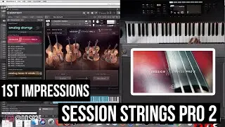 Session Strings Pro 2! Native Instruments' New Kontakt Library. First Impressions