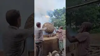 Amazing Lime Making Complete Process Using Snails