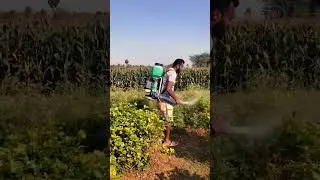 aspee power sprayer Jasmine farm