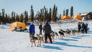 Iditarod Trail Sled Dog Race and Arctic Oven Hot Tents