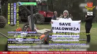 2341 NWN 3 Poland stops logging in 10 protected forest areas 1080p