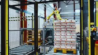 Automated Box Palletizing Solution in the Food Industry