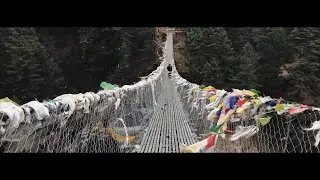 Future of Forestry / Eric Owyoung - Stay Right Here
