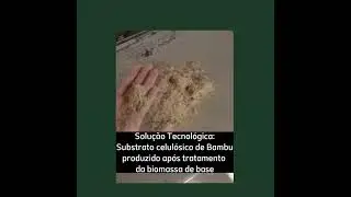 Production of 2G ethanol from bamboo residues using the TCF (Thermo Catalytic Fractionation)