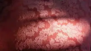 Red Velvet - Apos B-roll (Free to Use HD Stock Video Footage)
