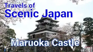 【旅エイター ★2050】 Maruoka Castle  [Travels of Scenic Japan by Tabiator]