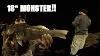 Catching MY BEST Sand Bass the First Week of 2026!!