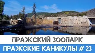 Зоопарк в Праге (Пражский зоопарк).