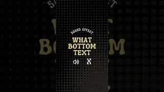 What Bottom Text Sound Effect #memes #funny