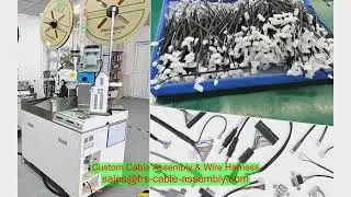 Molex 1510135412 K19 Engine Connecting Rod 3811994 High Quality in Stock