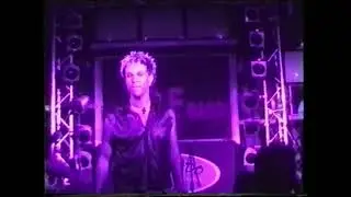 Purple Rain Manolis Colorado Club year 2001