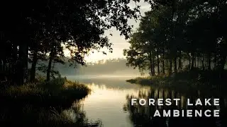 Morning Calm by the Forest Lake &ndash; Relaxing Nature Ambience