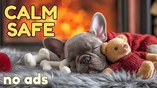 Puppy Home Alone Calm (12 Hours) &mdash; No Ads | Jazz Dog Separation Anxiety Music
