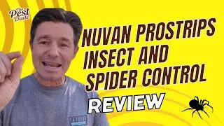 Nuvan Prostrips Insect and Spider Control. A Pest Dude review.