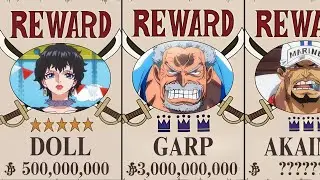 Every Marine's Bounty in One Piece