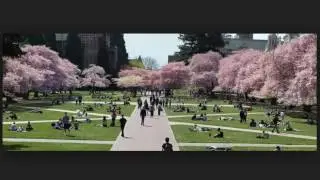 university of washington ,online education