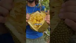 5 самых сладких фруктов на Земле🥭🌎